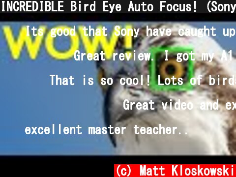 INCREDIBLE Bird Eye Auto Focus! (Sony a1)  (c) Matt Kloskowski